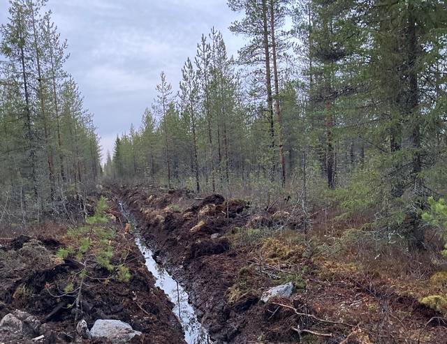Yalangoch Svetlana Xodchenkova Baluev